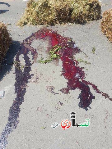 مصرع الطالبين الجامعيين رشاد ابريق ونزار درويش من أبو سنان في حادث طرق دام في جنين